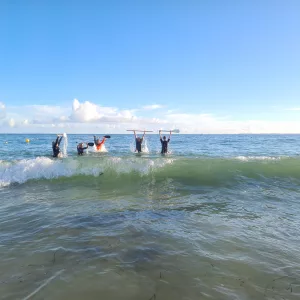 Longe-côte avec NandiniWavesDanse à la Trinité-sur-Mer.