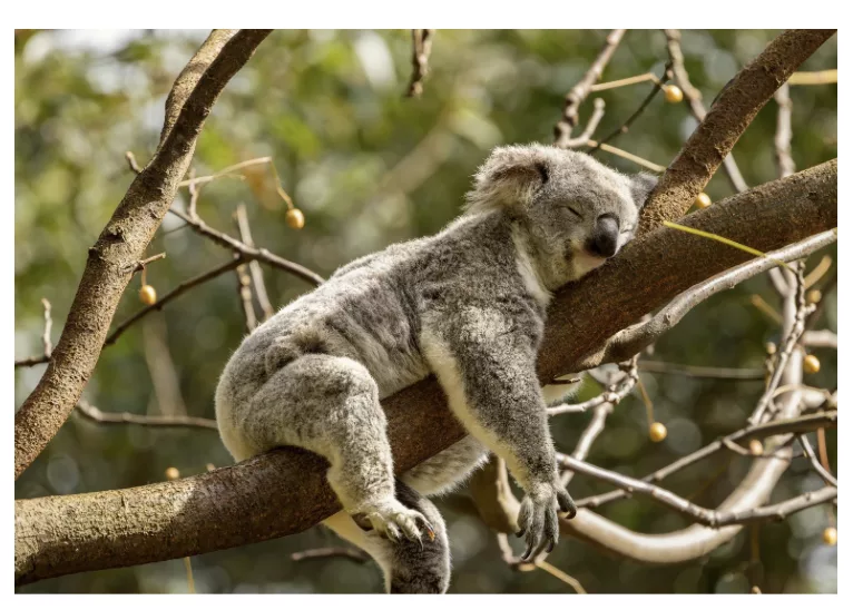 Récuperez avec nos retraites Pilates, OXYrandos et Longe-côte-Nandini Yoga