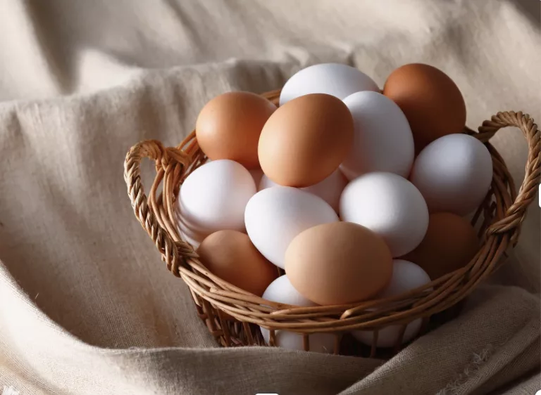 apprenez à manger sain avec notre retraites-NandiniWavesDanse